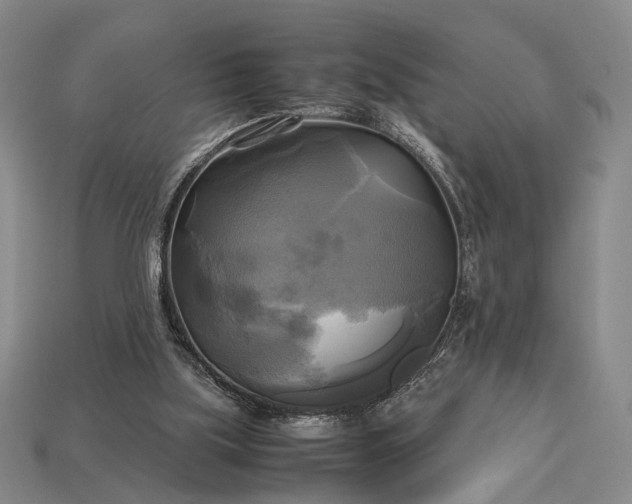 X0000112970059200909101702