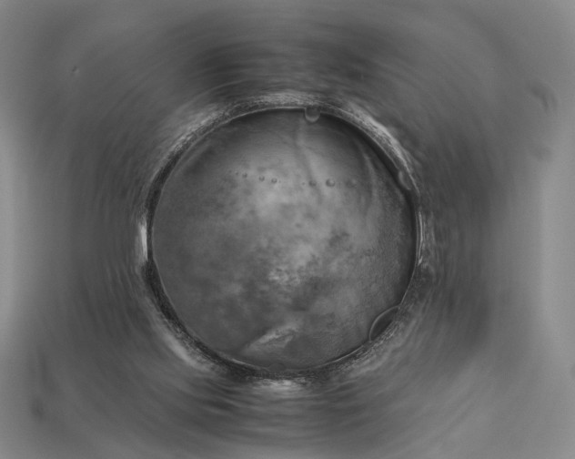 X0000112970061200909101702