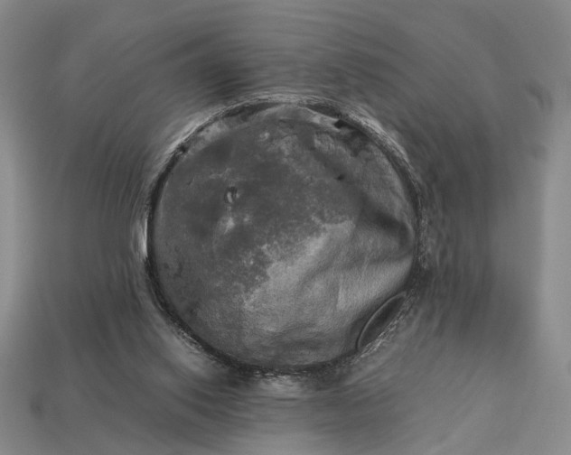 X0000112970062200909101702