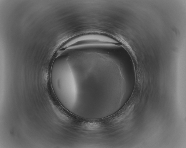 X0000112970063200909101702