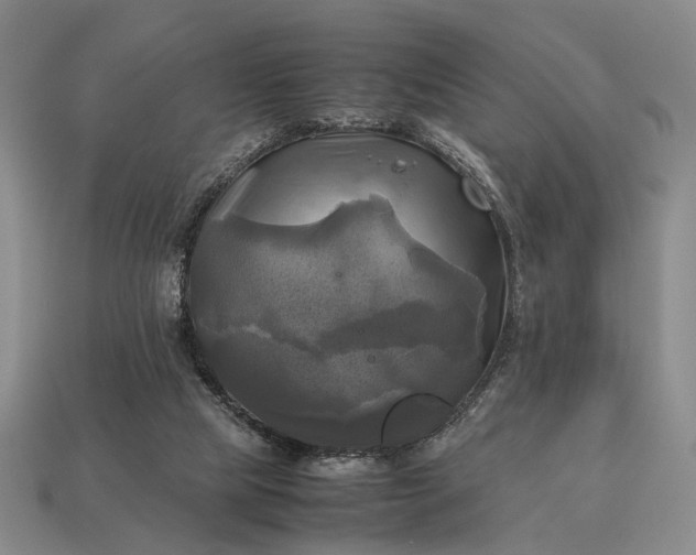 X0000112970065200909101702