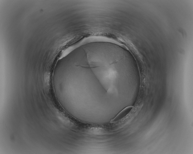 X0000112970066200909101702