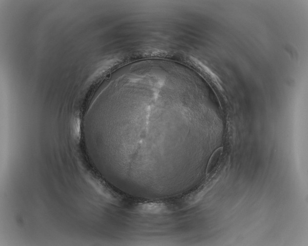 X0000112970067200909101702