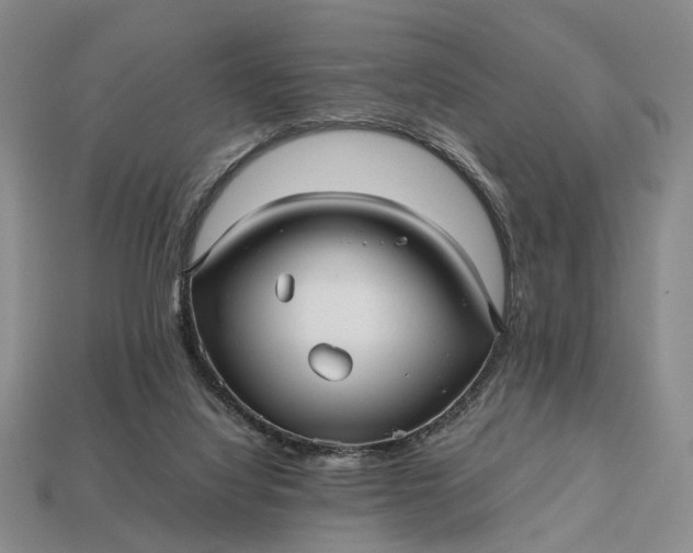 X0000112970068200909101702