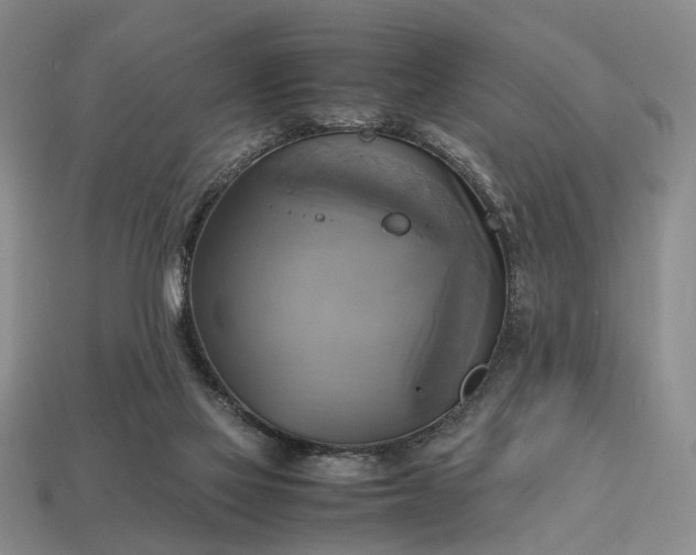 X0000112970069200909101702