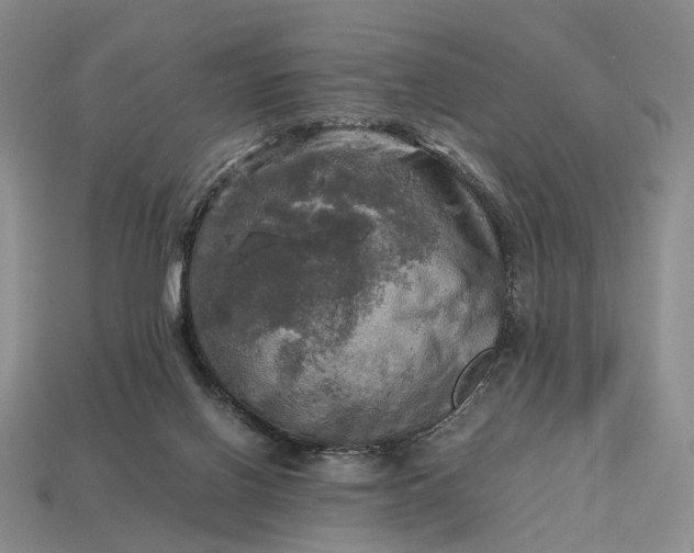 X0000112970070200909101702