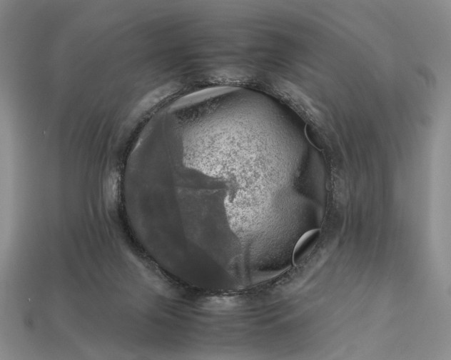 X0000112970071200909101702