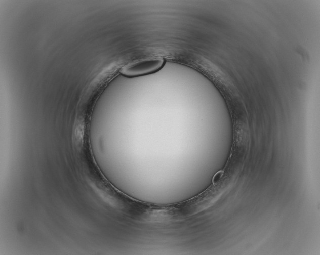 X0000112970072200909101702