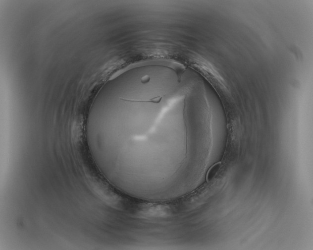 X0000112970073200909101702