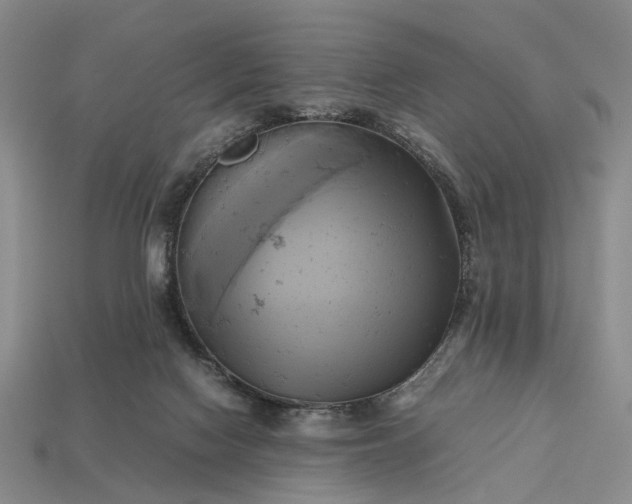 X0000112970074200909101702