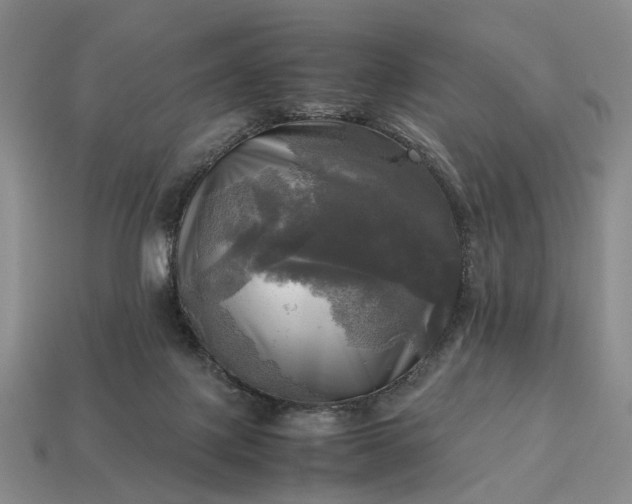 X0000112970075200909101702