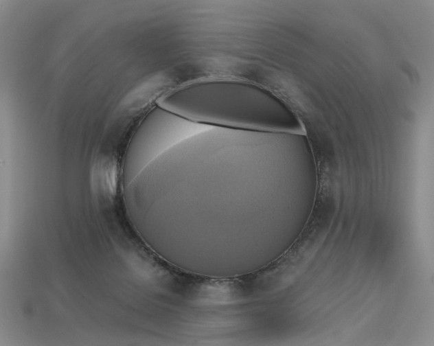 X0000112970076200909101702