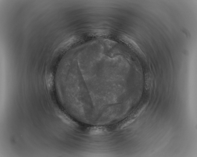 X0000112970077200909101702