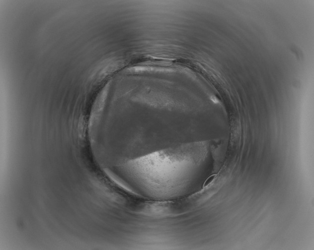 X0000112970078200909101702