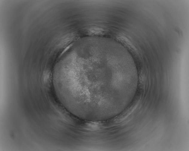 X0000112970079200909101702