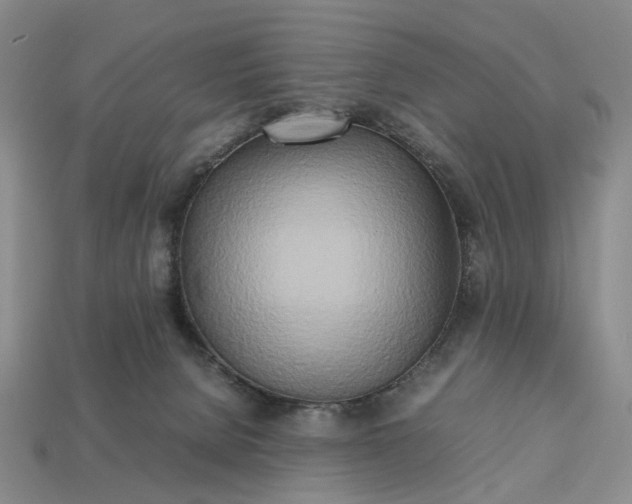 X0000112970080200909101702