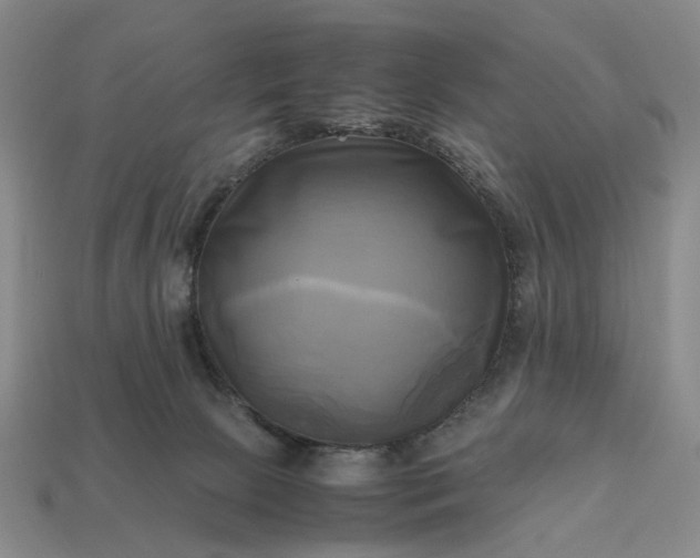 X0000112970081200909101702