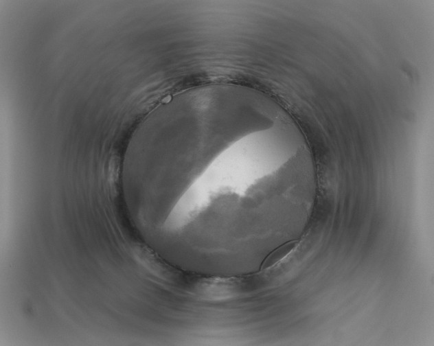 X0000112970082200909101702