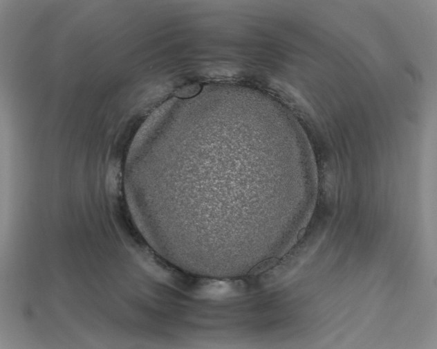 X0000112970083200909101702