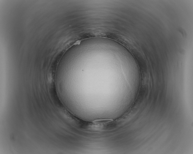 X0000112970084200909101702