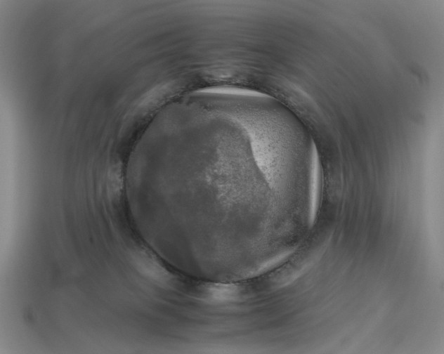 X0000112970085200909101702