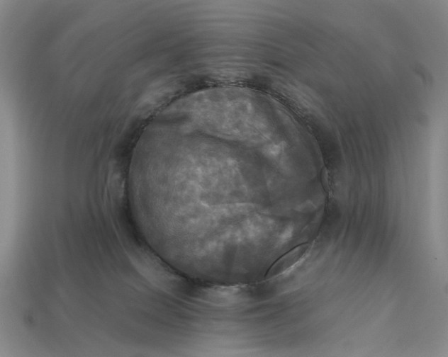 X0000112970086200909101702