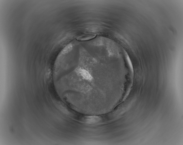 X0000112970087200909101702