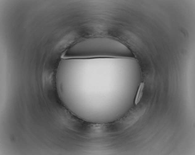 X0000112970088200909101702