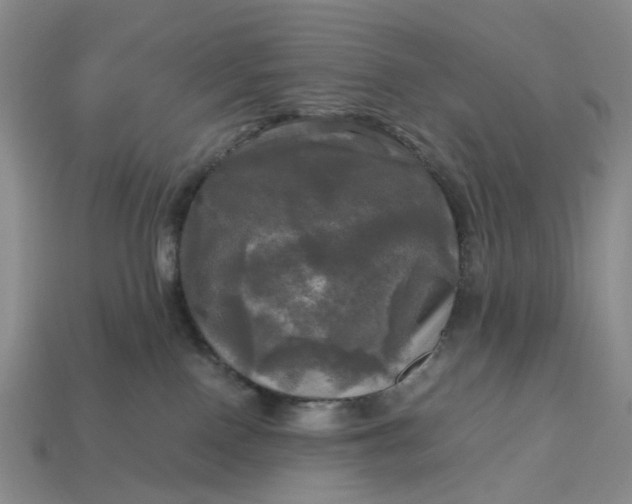 X0000112970090200909101702