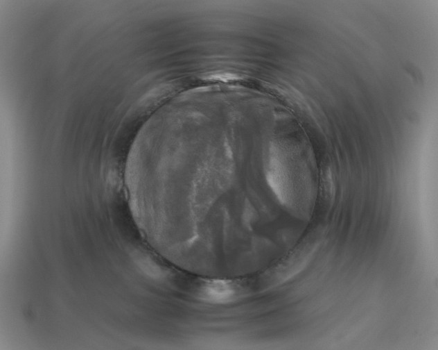 X0000112970091200909101702