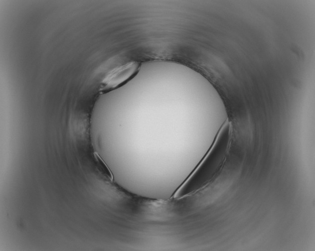 X0000112970092200909101702