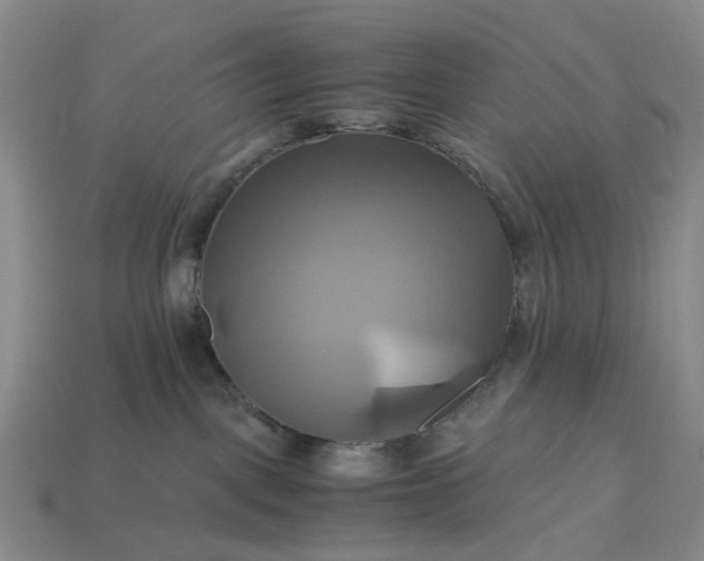 X0000112970093200909101702