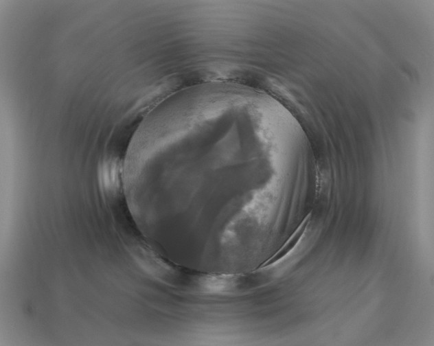 X0000112970094200909101702