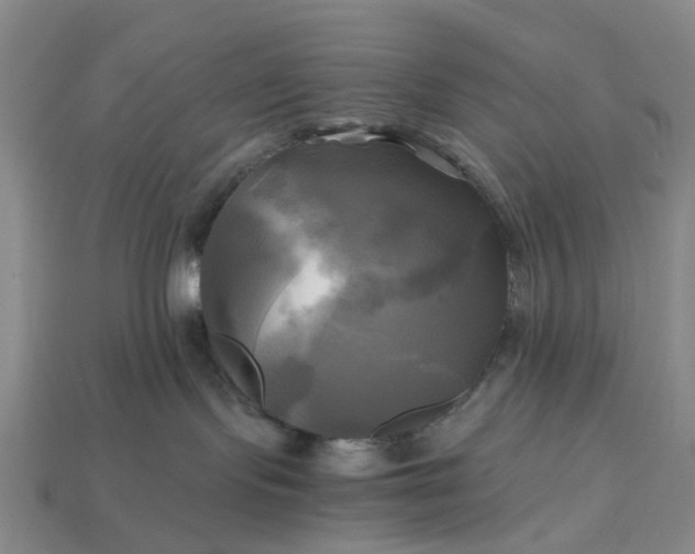 X0000112970095200909101702