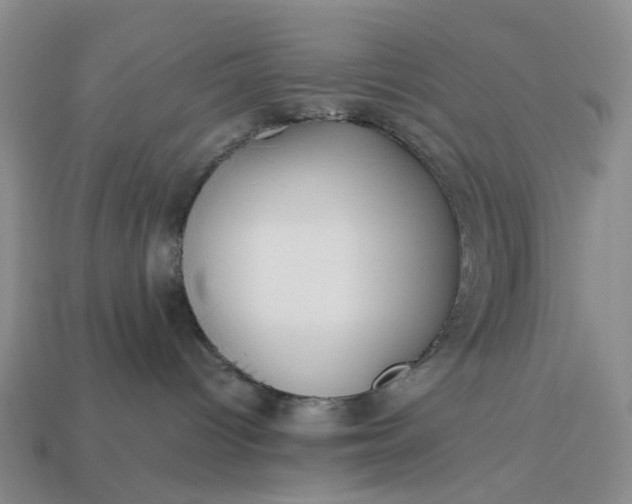 X0000112970096200909101702