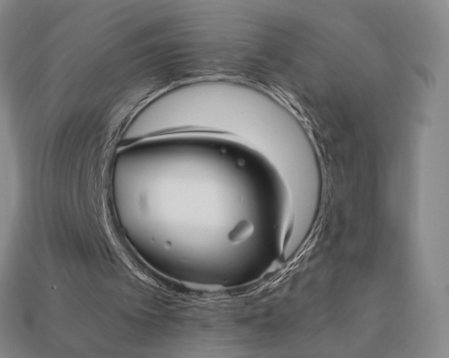 X0000112970097200909101701