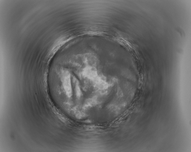 X0000112970098200909101701