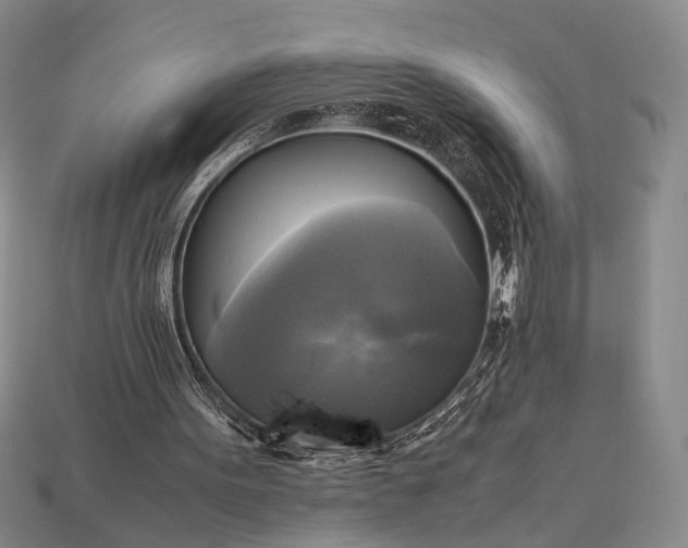 X0000112970099200909101701