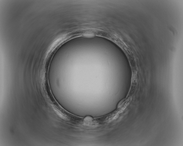 X0000112970101200909101701