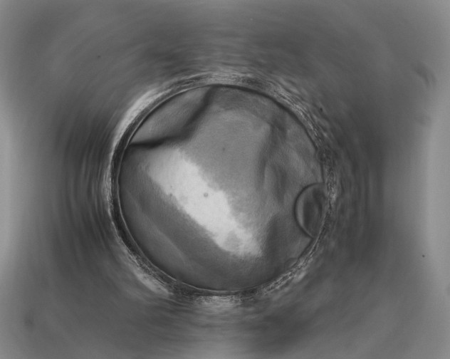 X0000112970102200909101701