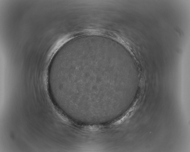 X0000112970103200909101701