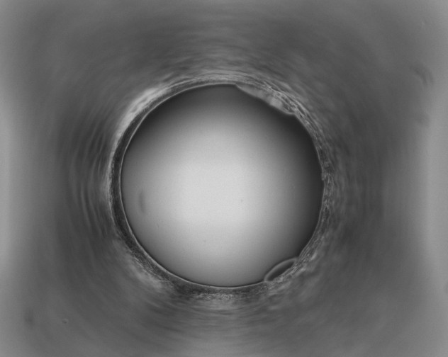 X0000112970104200909101701