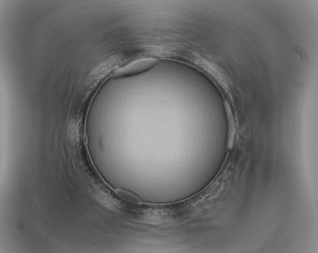 X0000112970105200909101701