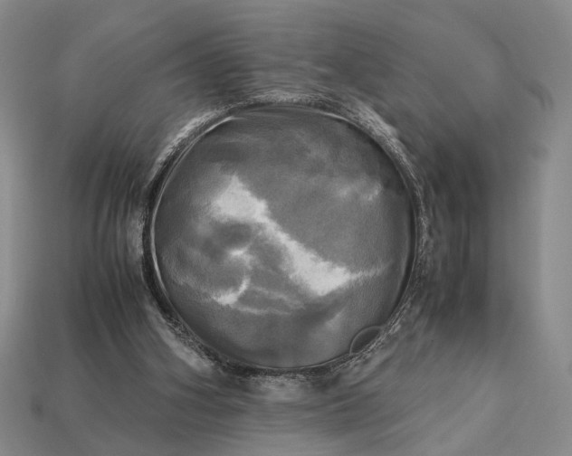 X0000112970106200909101701