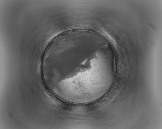 X0000112970107200909101701