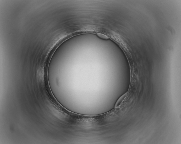 X0000112970108200909101701