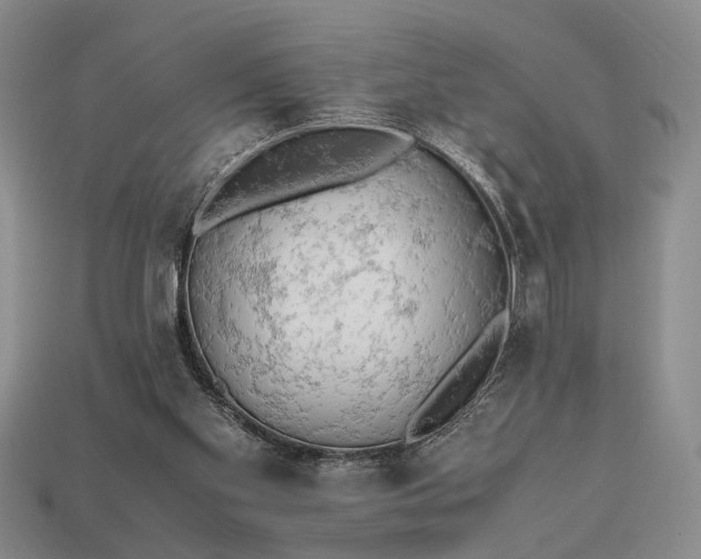 X0000112970109200909101701