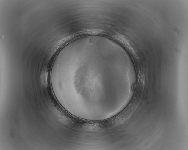 X0000112970110200909101701