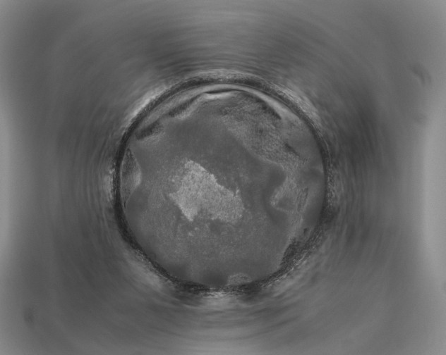 X0000112970111200909101701