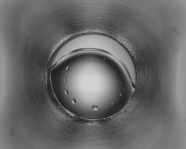 X0000112970112200909101701